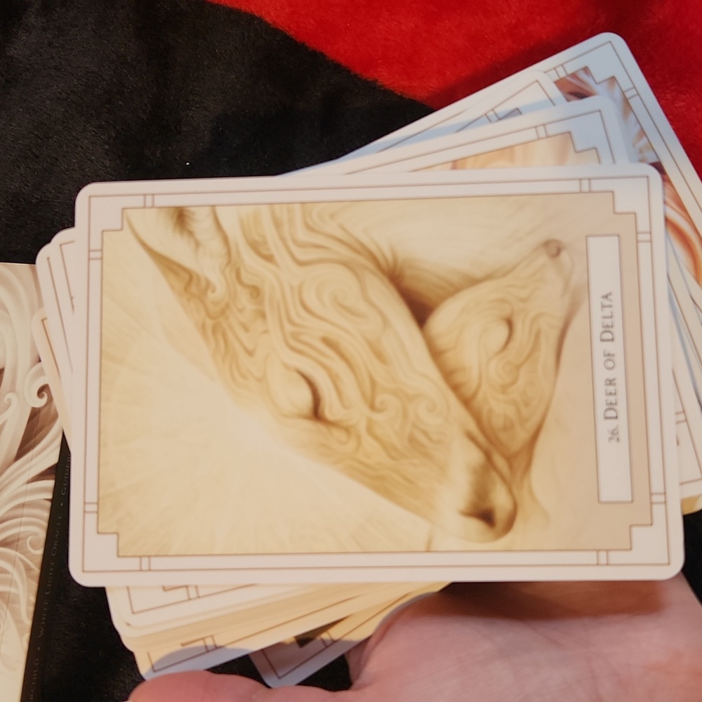 LIKE NEW! White Light Oracle Deck - Picture 7 of 11